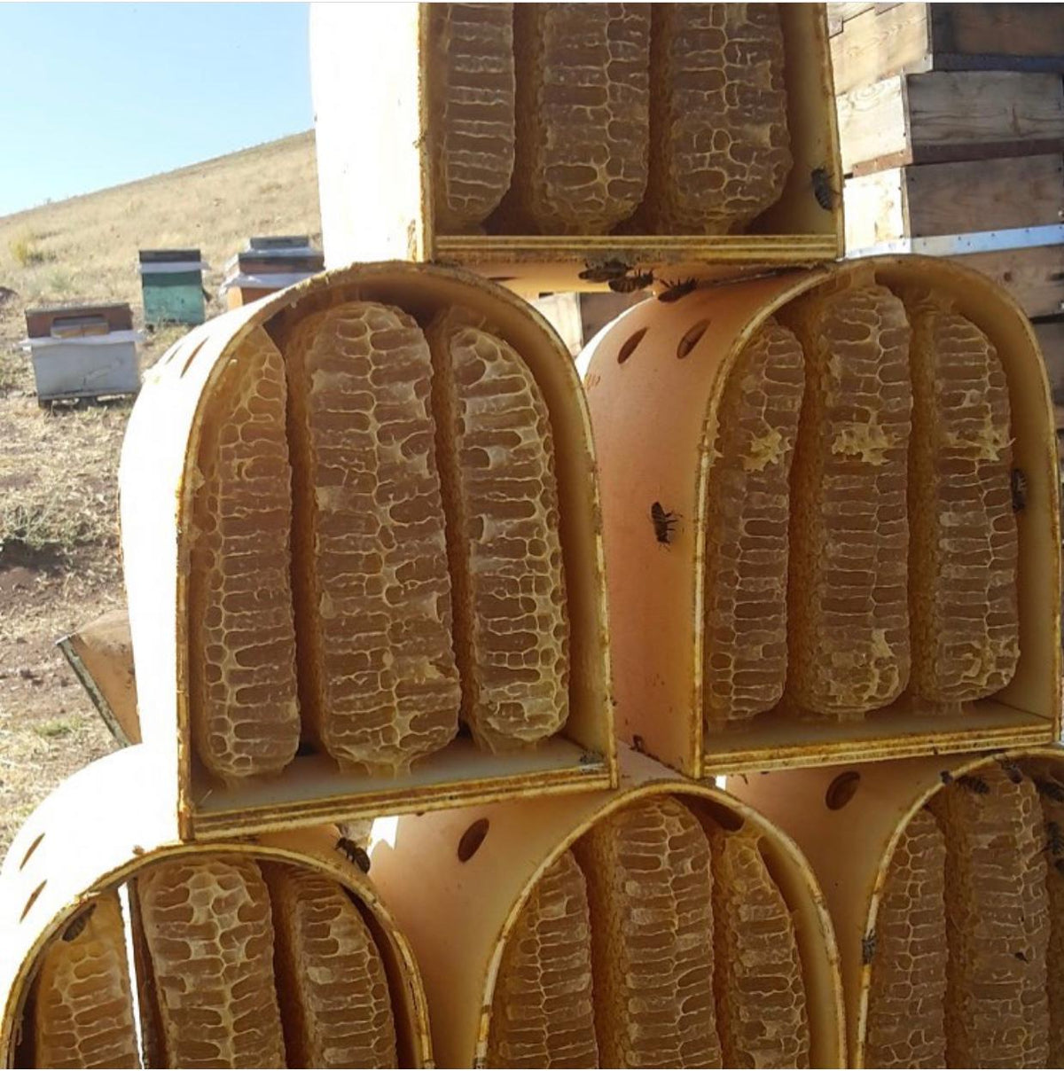 Türkiye'nin En Yüksek Yaylasında Yetişen Tünel BAL 1 KG'lık Paket