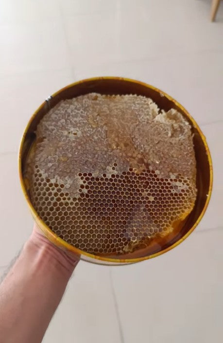 Türkiye'nin En Yüksek Yaylasında Yetişen KÜTÜK BAL 1 KG