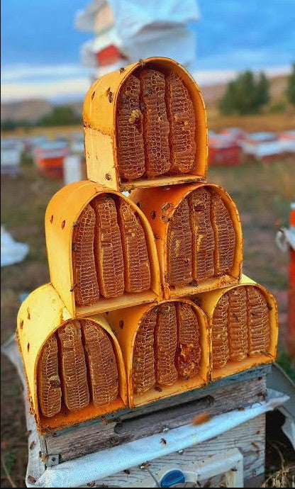 Türkiye'nin En Yüksek Yaylasında Yetişen Tünel BAL 3 KG