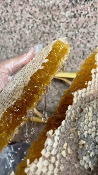 Türkiye'nin En Yüksek Yaylasında Yetişen Tünel BAL 1 KG'lık Paket