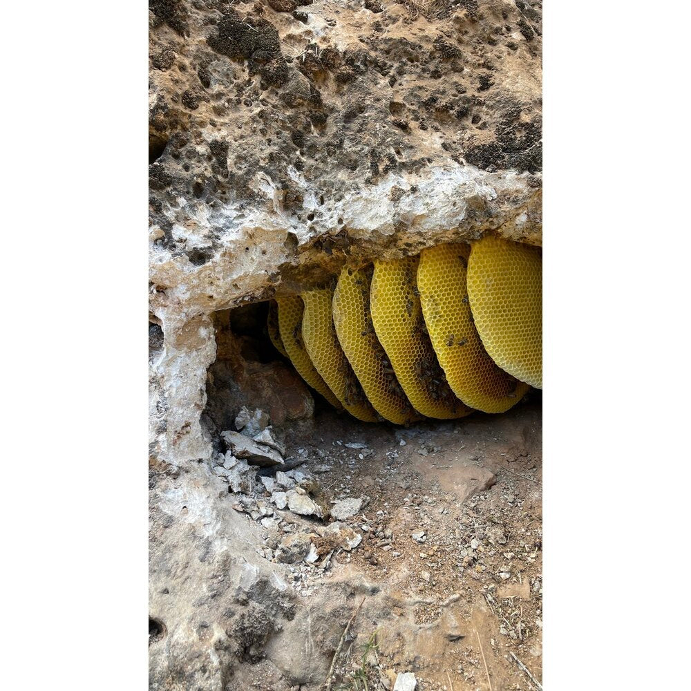 Dağlarda Yetişen Organik Şekersiz Kaya Balı (Yaban Balı)  1 Kg