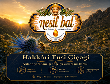 Türkiye'nin En Yüksek Yaylasında Yetişen Tünel BAL 3 KG